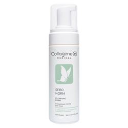 Cleansing Foam Sebo Norm 