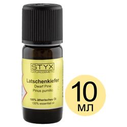 СОСНА (Latschenkifer)