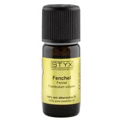 ФЕНХЕЛЬ (Fenchel)