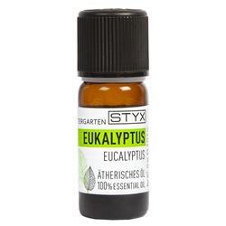 ЭВКАЛИПТ (Eucaliptus)