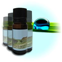 Композиция Солнечное Сияние