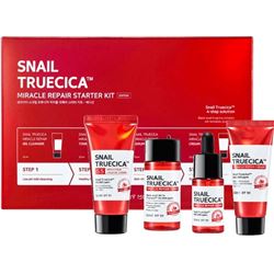 Snail Truecica Miracle Repair Starter Kit