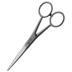 2127-5,5 Ножницы прямые Professional 5,5" серебристый