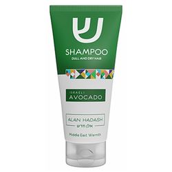 Israeli Avocado Shampoo Dull And Dry Hair 