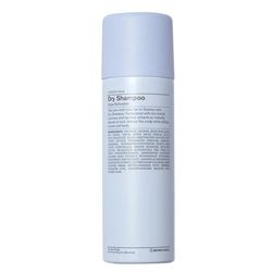 Dry Shampoo Style Refreshe