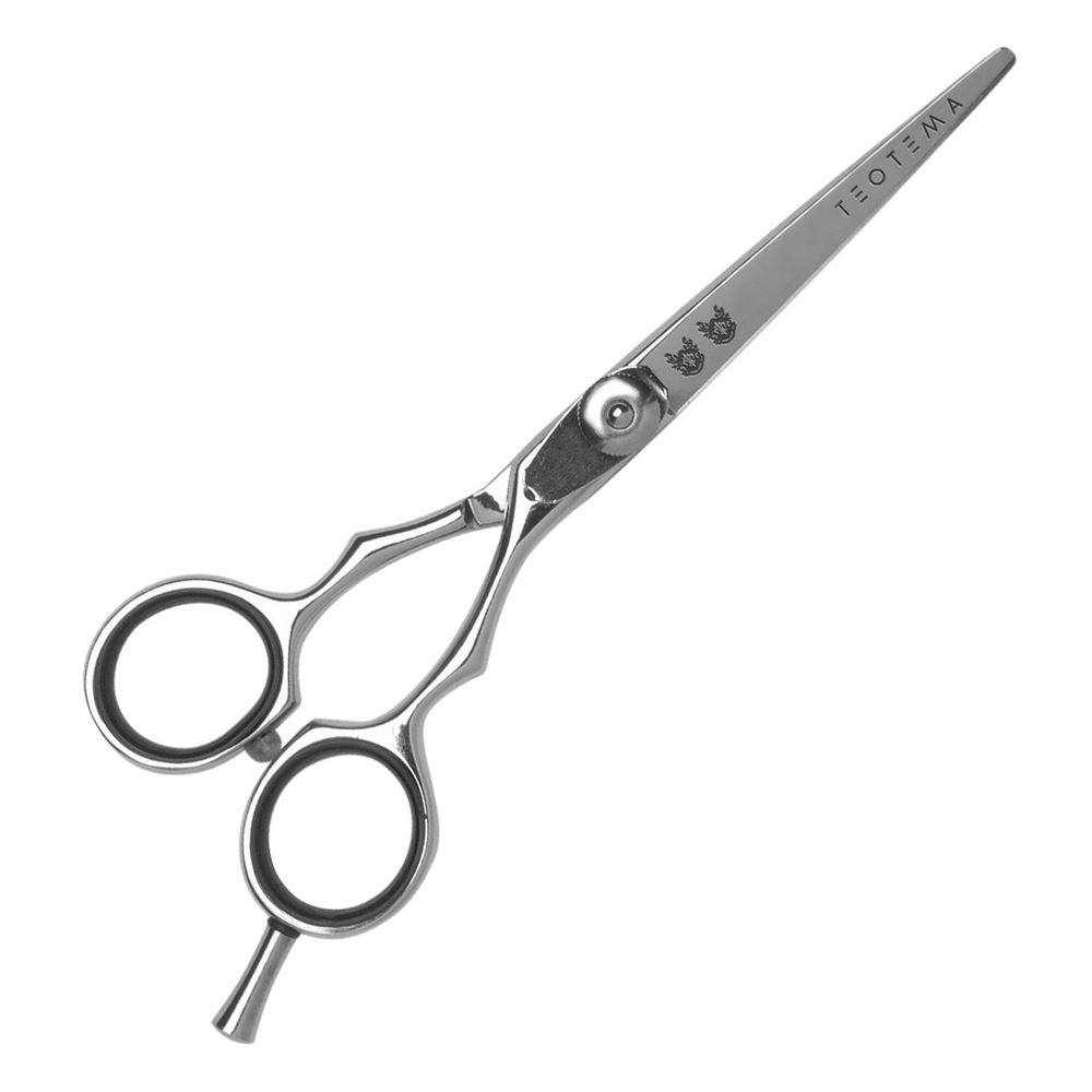 Teotema Accessories Ножницы Теотема 5 (2 герба) Ножницы Теотема 5 (2 герба)