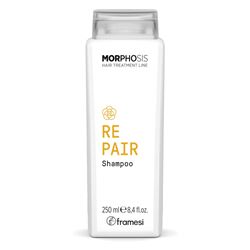 Repair Shampoo Morphosis 