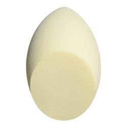 Blender Sponge w/box