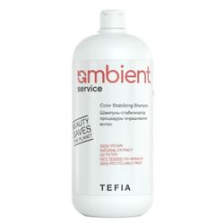 Ambient Service Color Stabilizing Shampoo