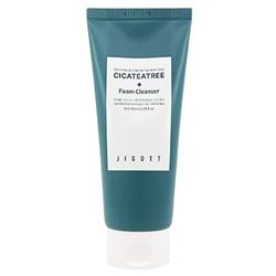 Cicateatree Foam Cleanser