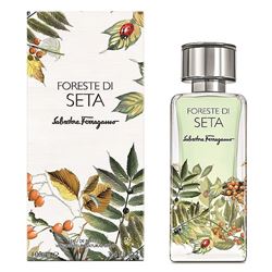 Foreste Di Seta