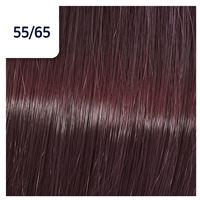 55/65 коррида