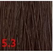 5.3 светлый золотисто-коричневый