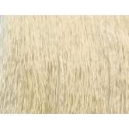 10.3 EXTRA экстра яркий блонд медовый