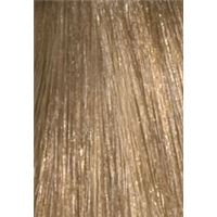 10.1 Ultrahellblond Asch/Ультра-светлый пепельный блондин