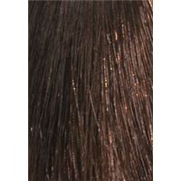 5.3 Hellbraun Gold/Шатен золотистый