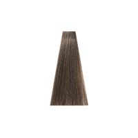 6.1 Темный блондин пепельный