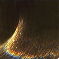 6.1 темный блондин пепельный