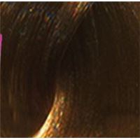 6.3 темныц блондин золотистый