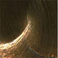 7.8 блондин коричневый