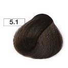 5.1 Светлый шатен пепельный