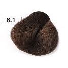 6.1 Темный блондин пепельный