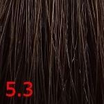 5.3  Светлый каштан золотистый