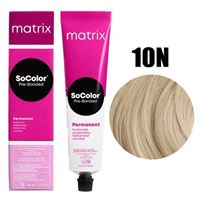 10N (10.0) очень-очень светлый блондин