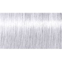 Серебряная лаванда Silver Lavendar