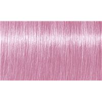 Клубничная роза Strawberry Rose