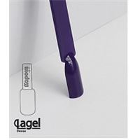 1762 Мисс Фортуна 