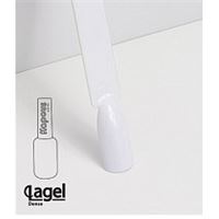 1781 Полярная звезда 