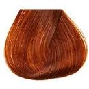 6/40 Темный блондин медный