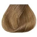 8/13 Светлый блондин пепельно-золотистый
