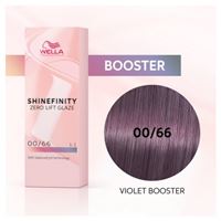 00/66 Фиалковый 