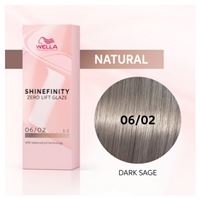 06/02 Темный Шалфей 