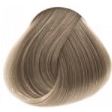 10.01 Экстра светлый натуральный пепельный блондин 