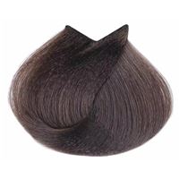 6.1 темный блондин пепельный