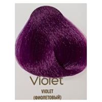 ФИОЛЕТОВЫЙ 