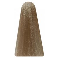 12.21  Интенсивный перламутровый холодный супер осветлитель