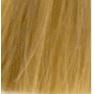 9.3  Очень светлый блондин золотистый