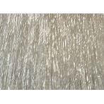 12/00 Платиновый блондин/Platinblond