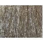 8/2 Светло-пепельный блондин/Hellblond asch