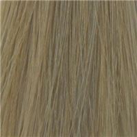 10.1 Ультра-светлый пепельный блондин/Ultrahellblond Asch