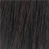 4.6 Дикая слива/Wildpflaum