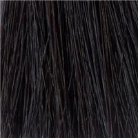 5.6  Слива/Pflaume 