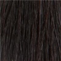 5.75  Каштан/Kastanie