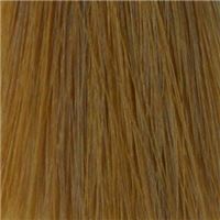 8.3  Золотистый блондин/Blond Gold