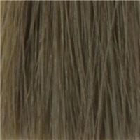 9.1   Светло-пепельный блондин/Hellblond Asch