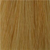 9.3  Светло-золотистый блондин/Hellblond Gold